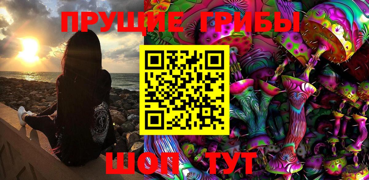 Псилоцибиновые грибы мицелий Сланцы