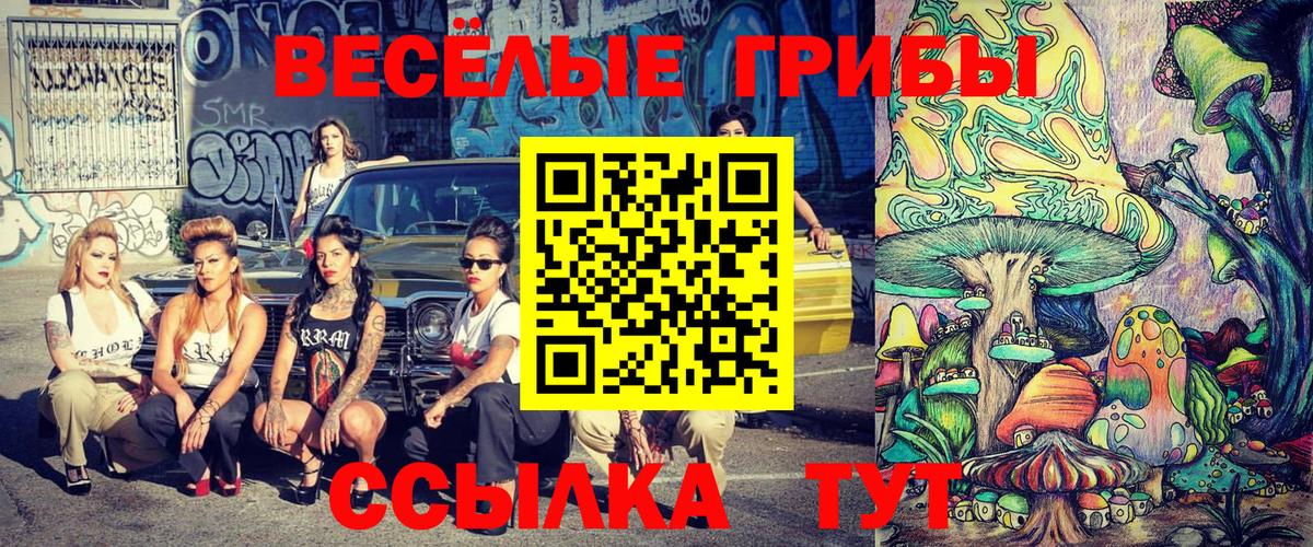Сланцы  Псилоцибиновые грибы мицелий  Вход с VPN  Псилоцибиновые грибы Psilocybe 