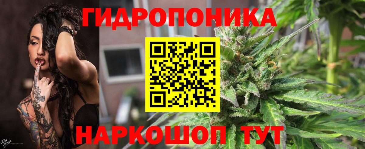 МАРИХУАНА SATIVA & INDICA  Конопля SATIVA & INDICA  Сланцы  Бошки Шишки Amnesia  МАРИХУАНА Bruce Banner  Вход с VPN 